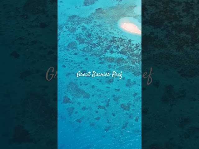 헬기에서 보는 환상적인 호주 그레이트 배리어 리프 - Great Barrier Reef