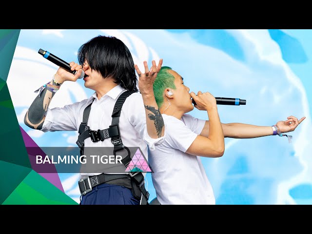 Balming Tiger - Trust Yourself (Glastonbury 2024)