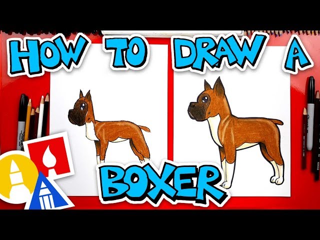 How To Draw A Cartoon Boxer