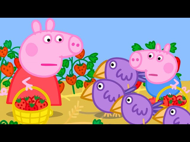 Peppa Pig Picks Strawberries | Family Kids Cartoon