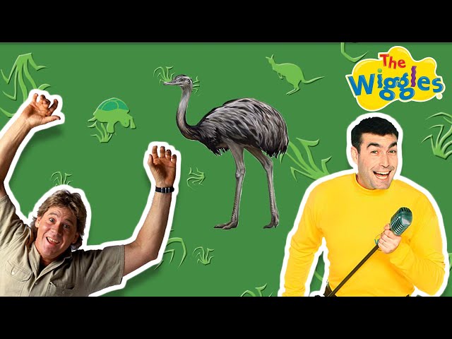 Old Man Emu - The Wiggles feat. Steve Irwin | Wiggly Safari | OG Wiggles