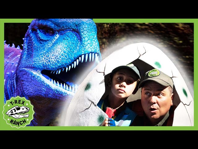 BRAND NEW! Dinos Alive | T-Rex Ranch Dinosaur Videos