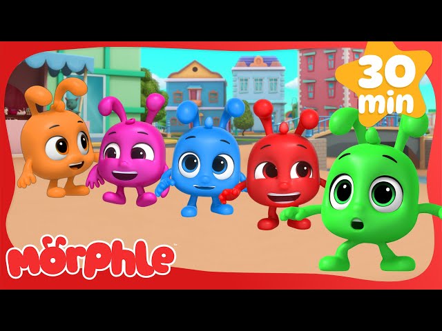 Colour Baby Morphle Racers 🎨🏎️ | Cartoons for Kids | Mila and Morphle