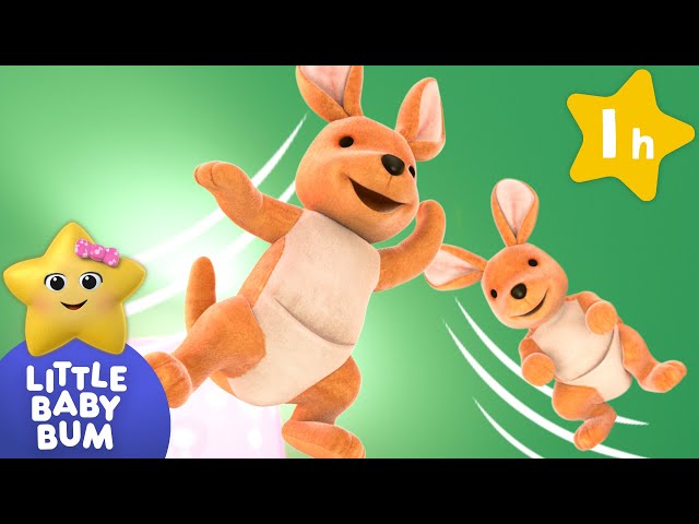 Jump and Hop with Kangaroo! |  Animal songs | Little Baby Bum