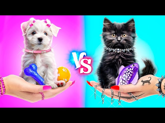 Life of Different Pets! Good Dog vs Bad Cat