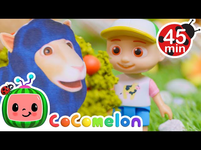 Baa Baa Black Sheep Toys | CoComelon Toy Play Learning | Nursery Rhymes for Babies