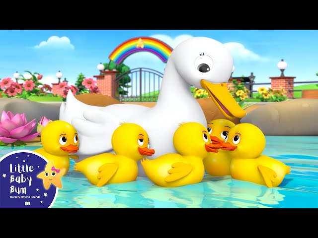 Five Little Ducks! | Little Baby Bum - New Nursery Rhymes for Kids