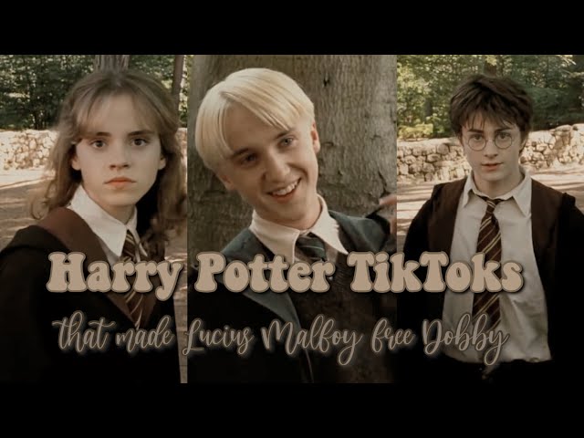 Harry Potter TikToks that made Lucius Malfoy free Dobby
