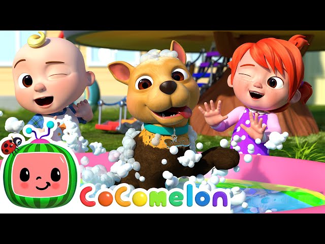 Bingo's Bath Song | CoComelon Nursery Rhymes & Kids Songs