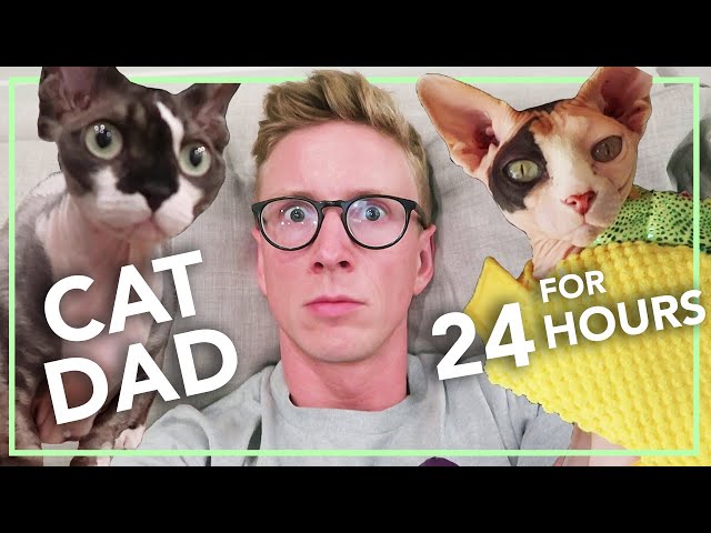 Becoming a CAT LADY for a Day (ft. Hannah Hart)