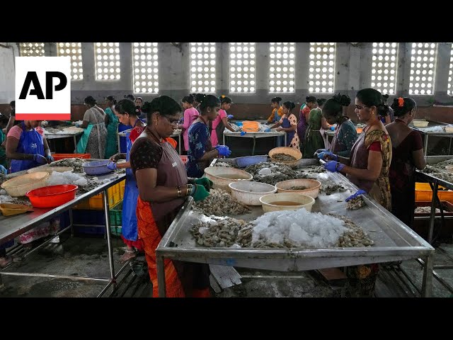 AP documents grueling conditions in Indian shrimp industry