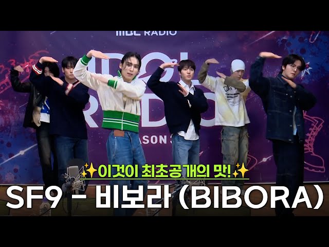 ✨최초공개!✨이것이 최초공개의 맛! SF9 - 비보라 (BIBORA)