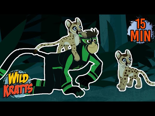 Every Creature Rescue Part 15 | Protecting The Earth's Wildlife | New Compilation | Wild Kratts