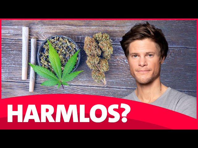 Ist Cannabis schädlicher als Alkohol? | Faktencheck