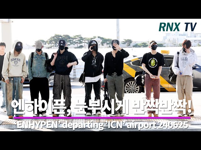 240625 ENHYPEN, 빨려드는 매력으로 - RNX tv