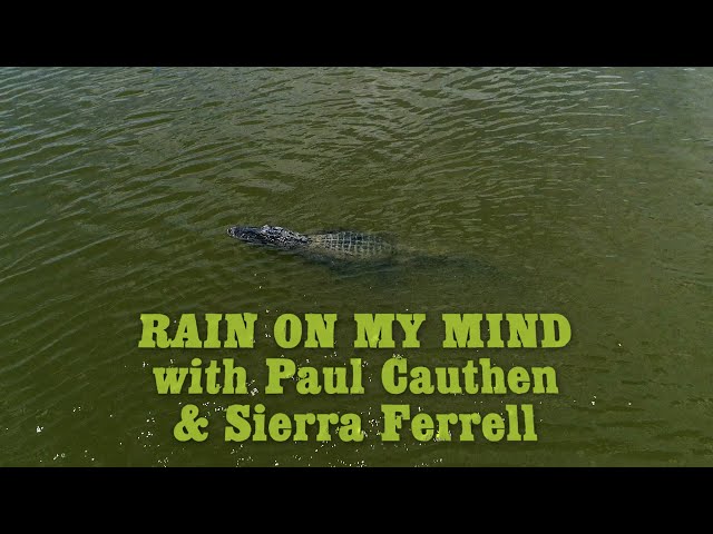 Rain on My Mind (with Paul Cauthen & Sierra Ferrell) [Official Lyric Video]