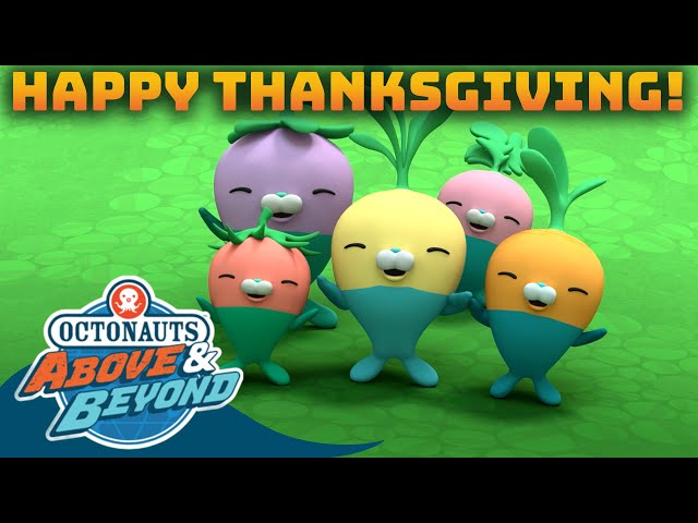 Octonauts: Above & Beyond - Happy Thanksgiving! 😺🐻‍❄️ | Compilation | @Octonauts​