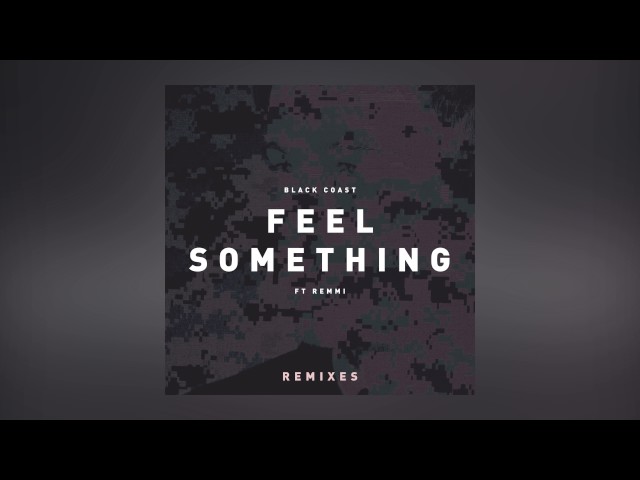 Black Coast - Feel Something feat. Remmi (warner case Remix) [Cover Art] [Ultra Music]