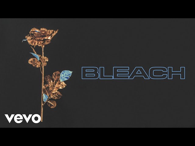 Ellie Goulding - Bleach (Visualiser)