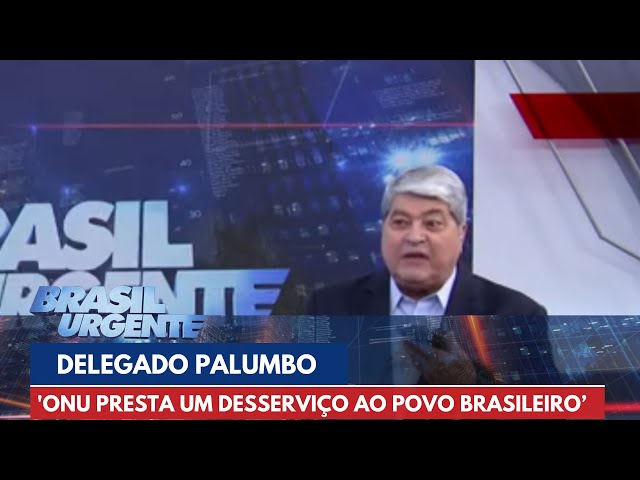 'ONU presta um desserviço ao povo brasileiro', diz Delegado Palumbo | Brasil Urgente