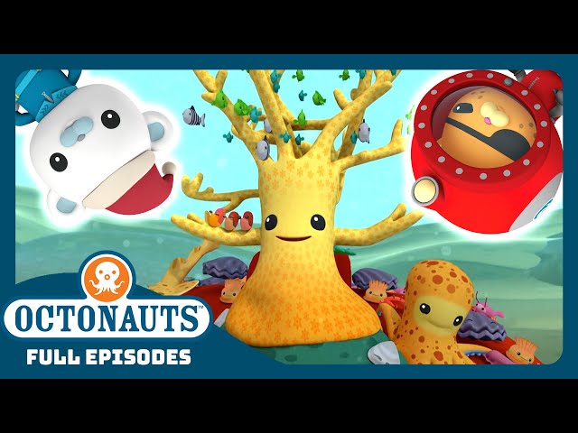 @Octonauts - 🎄 The Great Christmas Rescue ⛑️ | Season 1 | Full Episodes | Cartoons for Kids