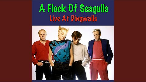 A Flock Of Seagulls Live At Dingwalls