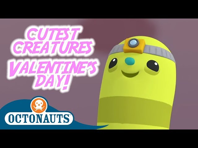 Octonauts - Cutest Creatures Ever! | Valentine's Day Special Compilation | Cartoons for Kids