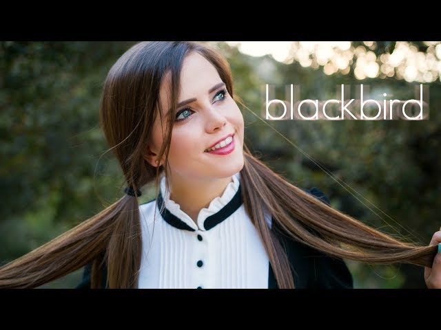 Blackbird - The Beatles (Tiffany Alvord Cover)