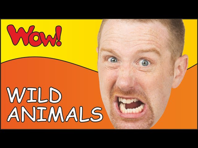 Steve and Maggie Racing through a Wild Animal Safari | Learn English Kids in English funny stories
