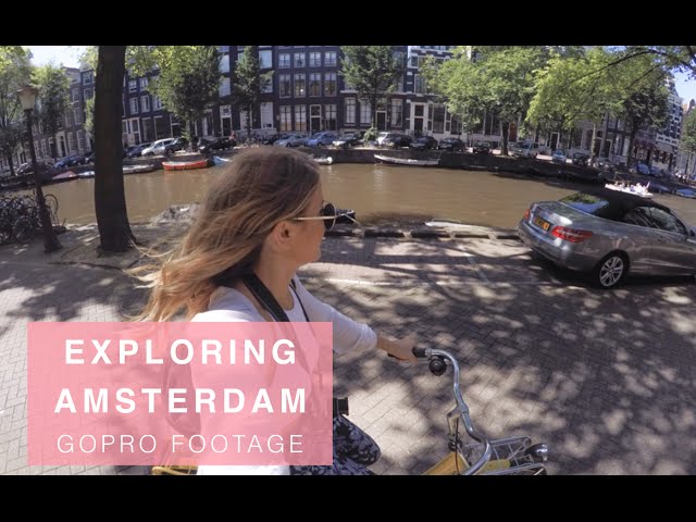 Exploring Amsterdam with Where's Mollie?