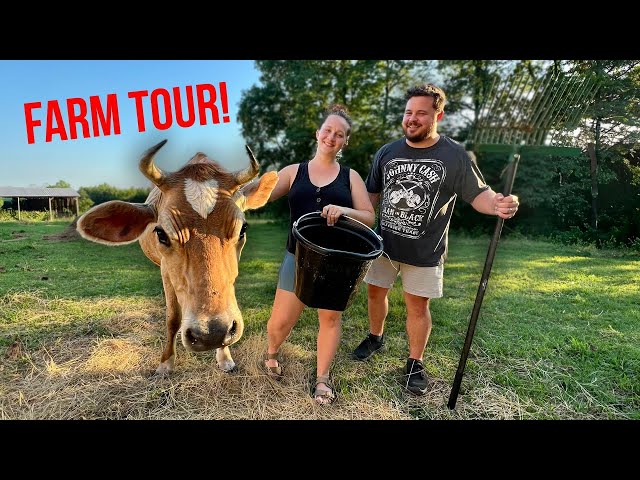Daily Bumps Homestead Farm Tour 2024! 🐄  (All Our Animals)