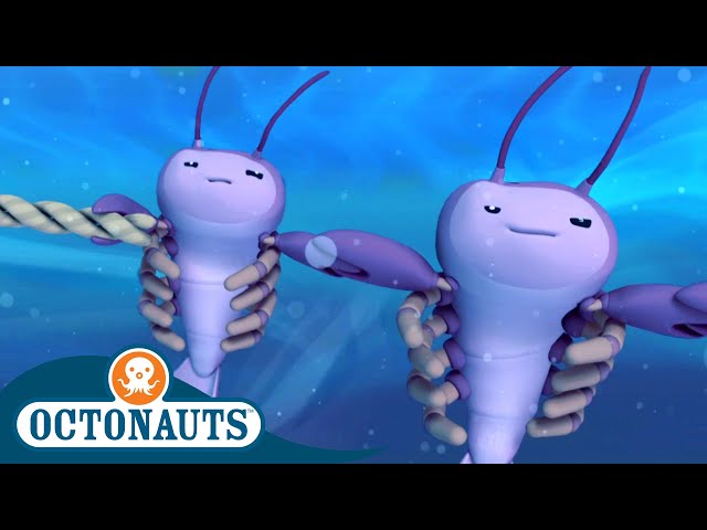 Octonauts - Undersea Storm and The Whale Shark | Cartoons for Kids | Underwater Sea Education