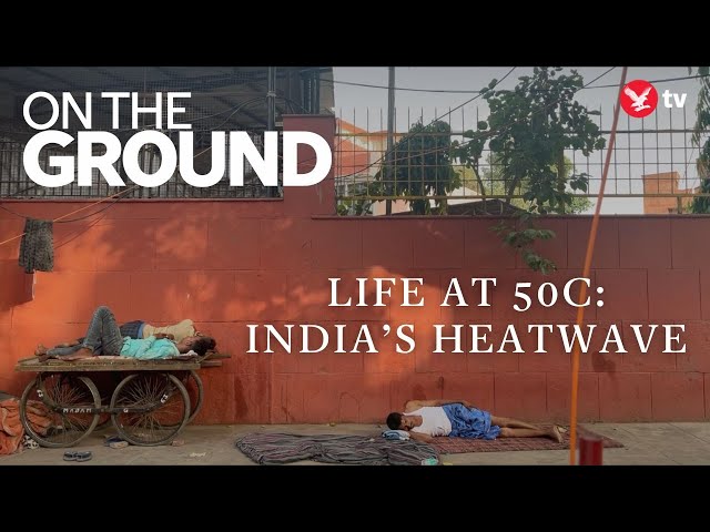 Life at 50C: Delhi’s streets struggling to cope with heatwave