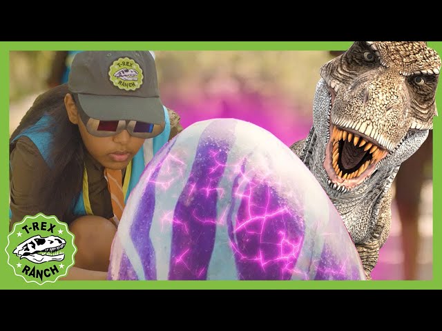 Brand New Rangers - Dino Dangers Song! T-Rex Ranch Dinosaur Videos