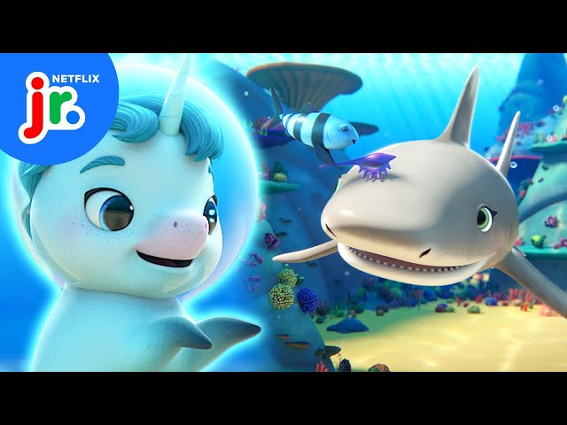 Searching for Shark! 🦈 Not Quite Narwhal | Netflix Jr