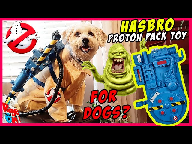 Hasbro Ghostbusters proton pack TOY and proton blaster for DOGS? unboxing , custom,  Afterlife
