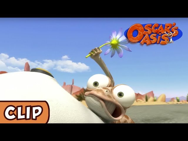 Oscar's Oasis - All That For A Flower | HQ | Funny Cartoons
