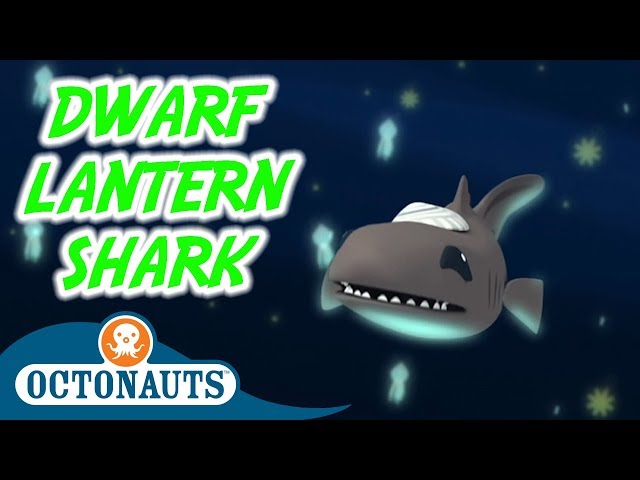 Octonauts - The Dwarf Lantern Shark | Full Episode | Cartoons for Kids
