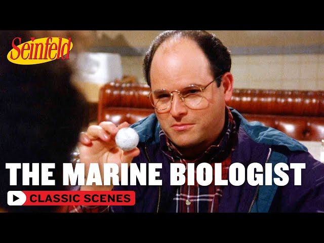 George Tells The Beached Whale Story | The Marine Biologist | Seinfeld