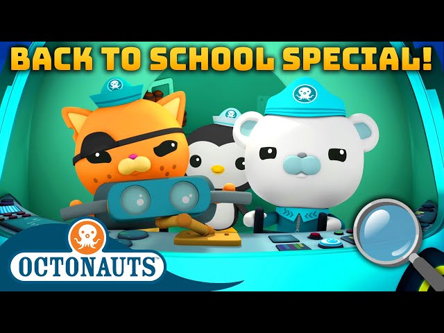 ​@Octonauts -  Learn About Sea Creatures | Back to School Special! 🎒🚌 | 60 Mins+ Compilation