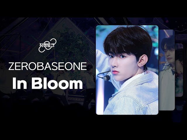 직캠으로 이어보는 ZEROBASEONE(제로베이스원) - In Bloom l 직캠링크