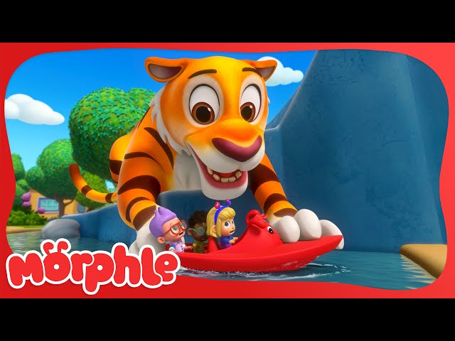 Clawed Away | Animal Cartoons for Kids 🐯🐱 | Mila and Morphle