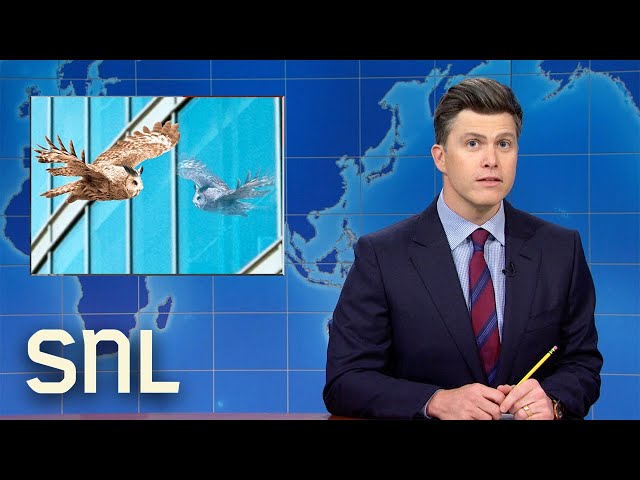 Weekend Update: Flaco the Owl Dies, KFC Launches Fried Chicken Pizza - SNL