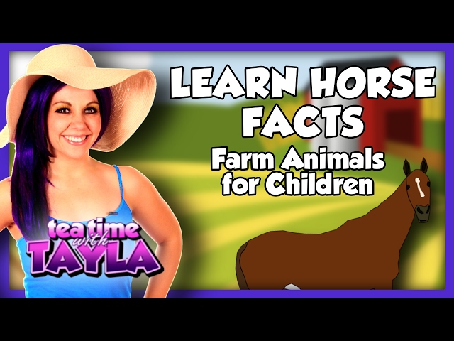 Learn Horse Facts - Farm Animals for Children on Tea Time with Tayla