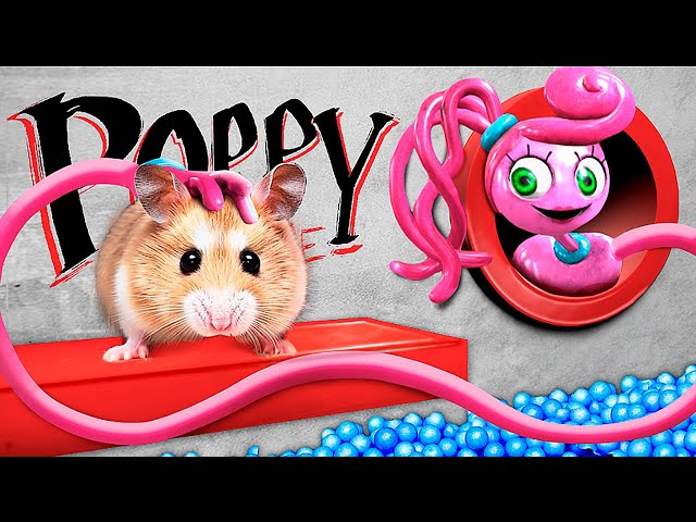 Hamster Adventure In Poppy Playtime! Hamster Escape Challenges