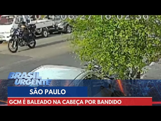 GCM é baleado na cabeça por bandido | Brasil Urgente