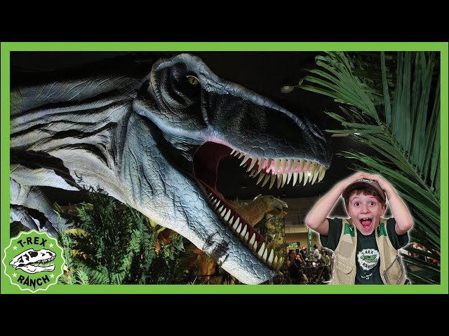 The Dinosaurs Have Come to life! | T-Rex Ranch Dinosaur Videos