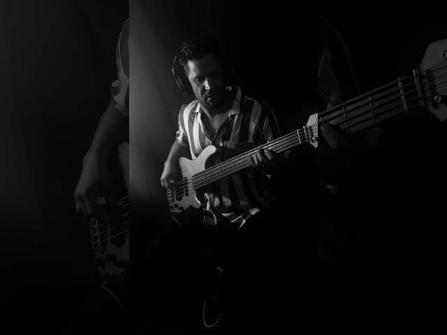 🎸Freestyles with Tobin Style🪳 #bassguitar #bassplayer