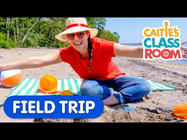 Let's Go To The Beach | Caitie's Classroom Field Trip | Outdoor Fun Videos for Kids