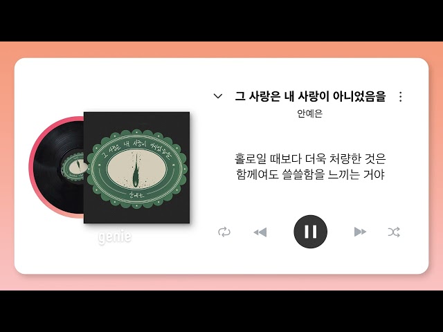 안예은 (AHN YEEUN) - 그 사랑은 내 사랑이 아니었음을 (not me not mine) | #리릭비디오 #Lyrics